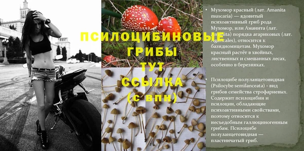mdpv Абдулино
